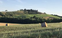 Bild vorgelegt von den Gästen von Cerretalta 