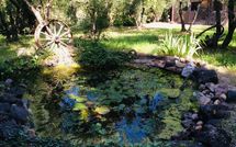 Bild vorgelegt von den Gästen von Casa Cipressi 