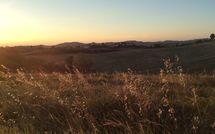 Bild vorgelegt von den Gästen von Casa Cipressi 