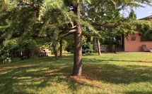 Bild vorgelegt von den Gästen von Casa Cipressi 