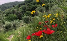 Bild vorgelegt von den Gästen von Villa Mastiano 