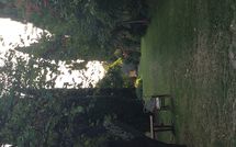 Bild vorgelegt von den Gästen von Montegufoni 