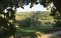 Bild vorgelegt von den Gästen von Montegufoni 