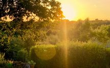 Bild vorgelegt von den Gästen von Country House Il Galleto 