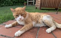 Bild vorgelegt von den Gästen von Villa Grazia 