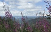 Bild vorgelegt von den Gästen von Hallenbadweg 