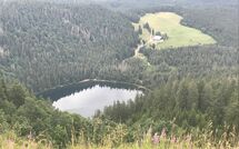 Bild vorgelegt von den Gästen von Hallenbadweg 