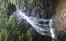 Bild vorgelegt von den Gästen von Hallenbadweg 