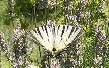 Bild vorgelegt von den Gästen von Molino Santa Lucia 