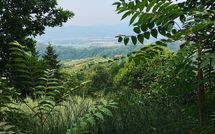 Bild vorgelegt von den Gästen von Villa Filippo 