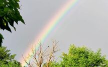 Bild vorgelegt von den Gästen von Pagliazzone 