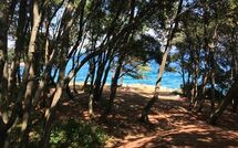 Bild vorgelegt von den Gästen von Labin 767 