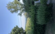 Bild vorgelegt von den Gästen von Magrini 