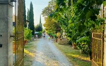 Bild vorgelegt von den Gästen von Tenuta Il Tresto 