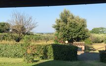 Bild vorgelegt von den Gästen von Poderino 