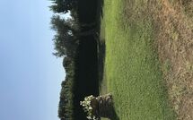 Bild vorgelegt von den Gästen von Poderino 