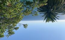 Bild vorgelegt von den Gästen von Villa Ginestra 