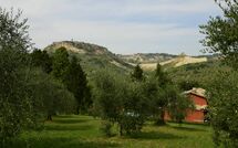 Bild vorgelegt von den Gästen von Val di Coreto 