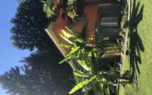 Bild vorgelegt von den Gästen von Castro 150 