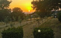 Bild vorgelegt von den Gästen von Fattoria le Chianacce 