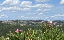 Bild vorgelegt von den Gästen von Fattoria di Quercia al Poggio 