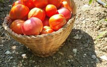 Bild vorgelegt von den Gästen von Torre del Cielo 