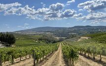 Bild vorgelegt von den Gästen von Fattoria Pogni 