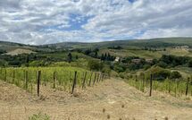 Bild vorgelegt von den Gästen von Vittoriana 