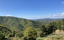 Bild vorgelegt von den Gästen von Villa Margherita 