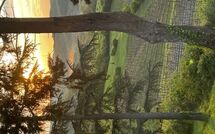 Bild vorgelegt von den Gästen von Radda in Chianti 850 