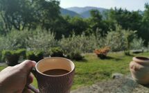 Bild vorgelegt von den Gästen von Vignoli 