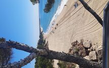 Bild vorgelegt von den Gästen von Miami Platja 496 