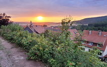 Bild vorgelegt von den Gästen von Schwalenberg 110 