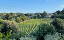 Bild vorgelegt von den Gästen von Casa Cervognano 