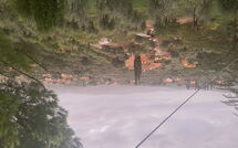 Bild vorgelegt von den Gästen von Il Poggiolo 