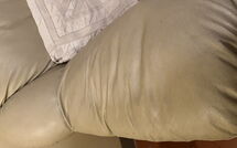 Bild vorgelegt von den Gästen von La Cipressa 