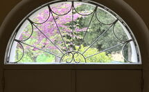 Bild vorgelegt von den Gästen von Poggio Falcone 