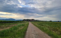 Bild vorgelegt von den Gästen von Borgo Casa di Lappi 