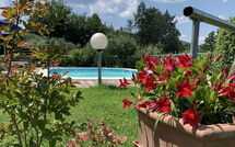 Bild vorgelegt von den Gästen von Il Sangiovese 