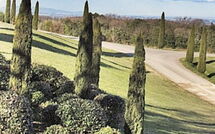 Bild vorgelegt von den Gästen von La Rimessa 