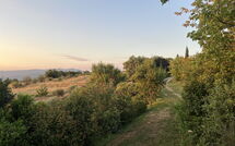 Bild vorgelegt von den Gästen von Casetta i Ciliegi 