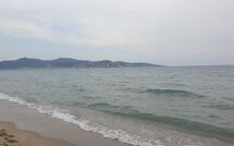 Bild vorgelegt von den Gästen von Empuriabrava 476 