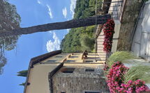 Bild vorgelegt von den Gästen von Il Gheppio 