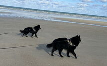 Bild vorgelegt von den Gästen von Neptune 