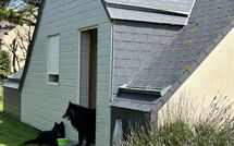 Bild vorgelegt von den Gästen von Neptune 