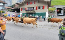 Bild vorgelegt von den Gästen von Lauterbrunnen 101 