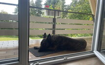 Bild vorgelegt von den Gästen von Ferienhäusle Nina 