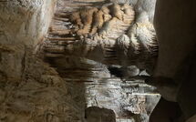 Bild vorgelegt von den Gästen von Can Pedro 