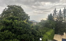 Bild vorgelegt von den Gästen von Can Pedro 