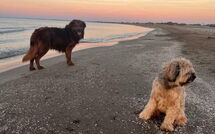 Bild vorgelegt von den Gästen von Silvia 